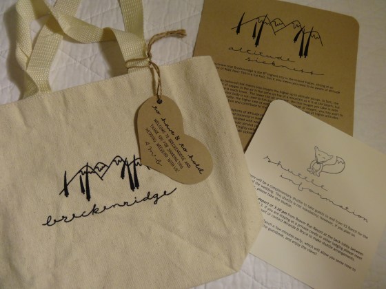 Miranda + Bryce V3 Ranch Breckenridge Rustic Woodland Wedding