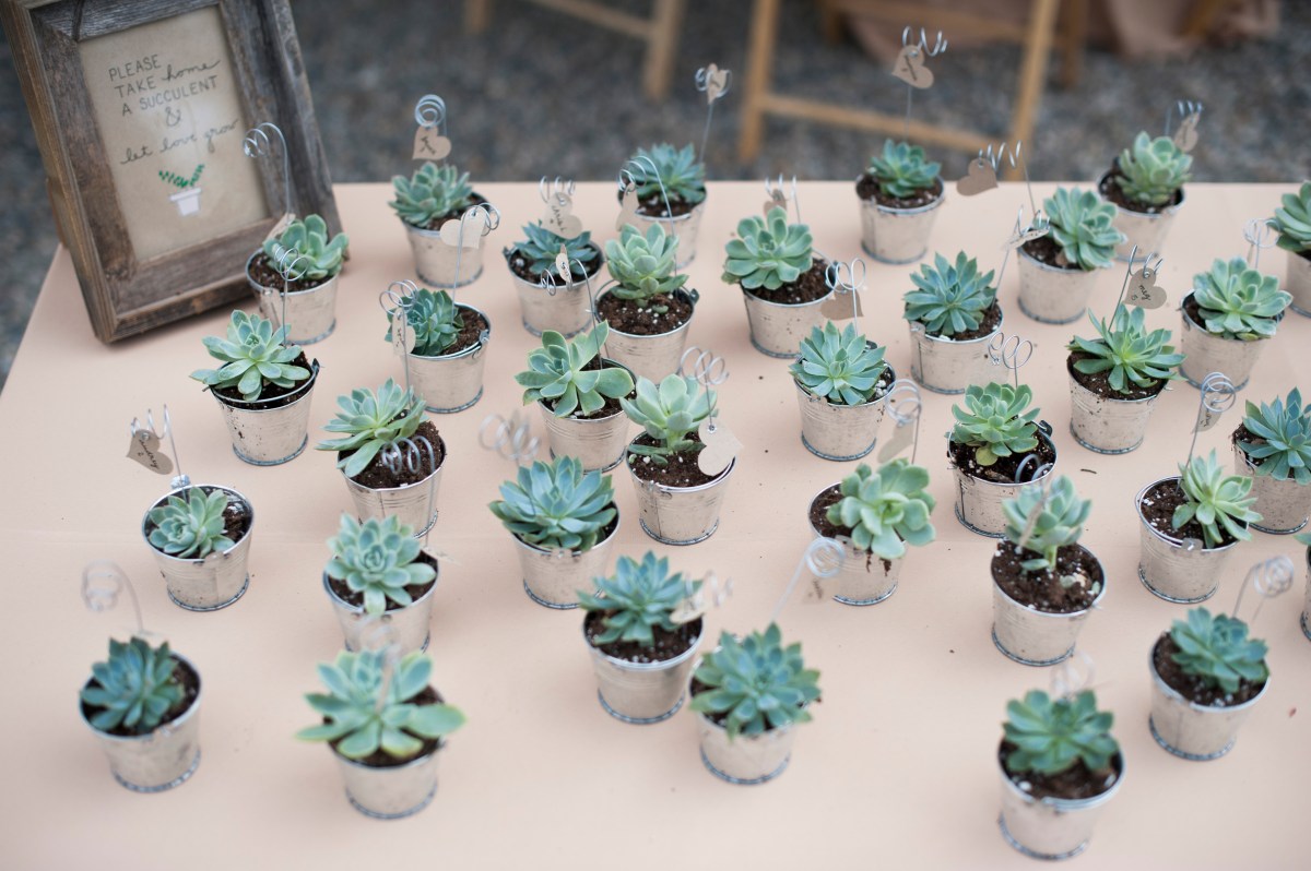 Miranda + Bryce V3 Ranch Breckenridge Rustic Woodland Wedding