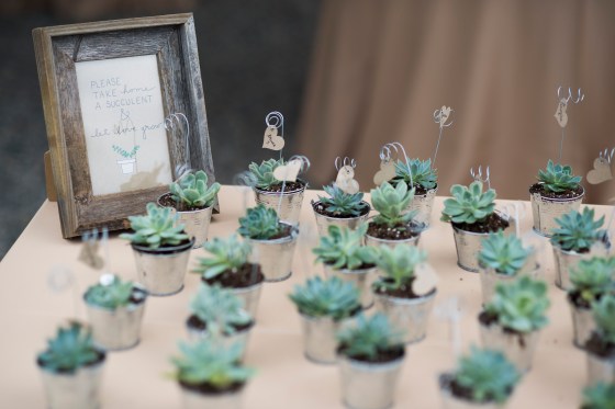 Miranda + Bryce V3 Ranch Breckenridge Rustic Woodland Wedding