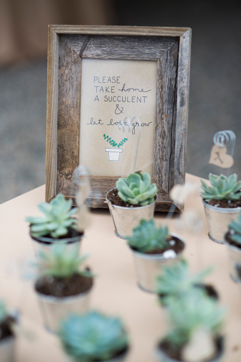 Miranda + Bryce V3 Ranch Breckenridge Rustic Woodland Wedding