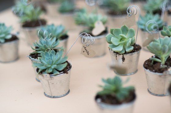 Miranda + Bryce V3 Ranch Breckenridge Rustic Woodland Wedding