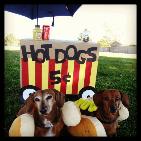 Dachshund Hotdog Stand