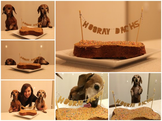 Dachshund_Birthday_Collage.jpg