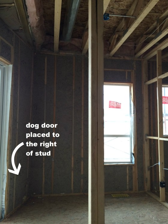 dog door through dry wall.jpg