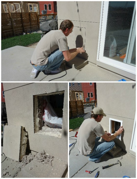 plexidor dog door install.jpg