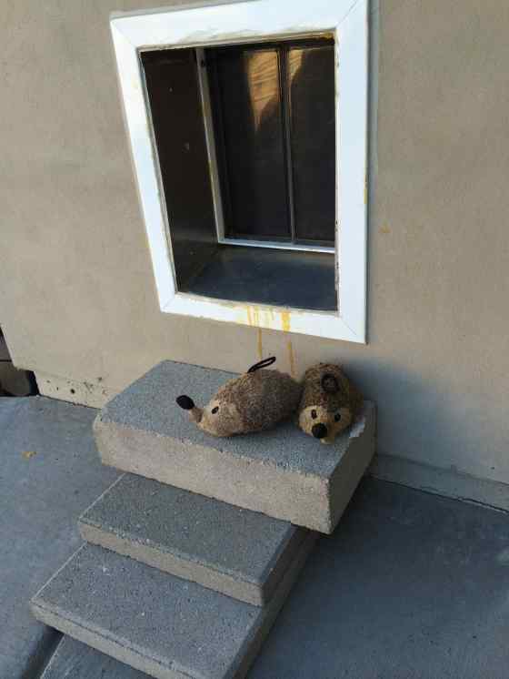 plexidor dog door.jpg