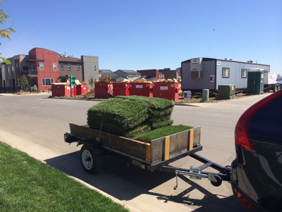 midtown sod