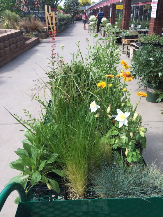 paulino gardens flowers.jpg