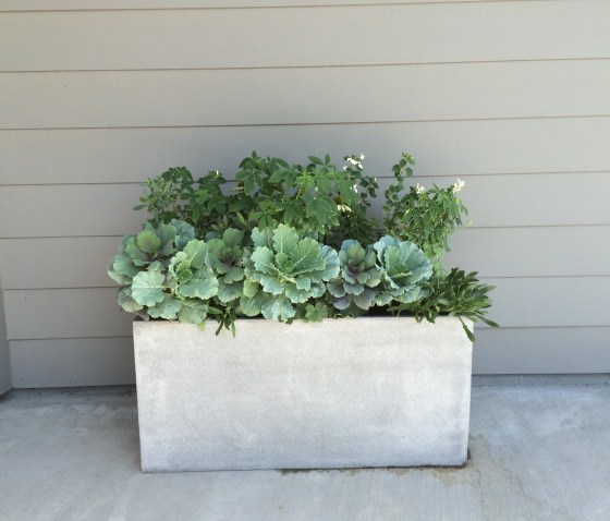 west elm cityscape planter grey