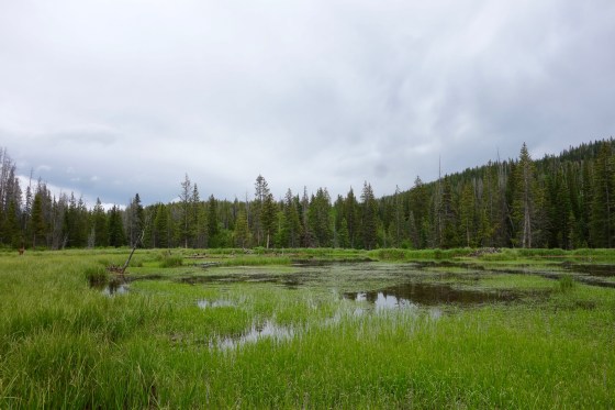 horse pond vail camping