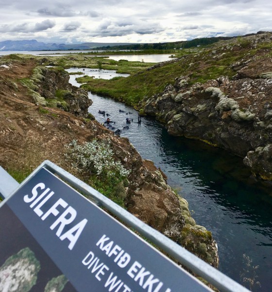 silfra fissure snorkeling