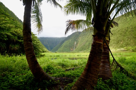 Muliwai Trail Backpacking Waimanu Valley Waipi'o Valley