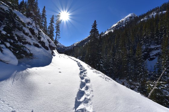 bridal veil falls trail 2