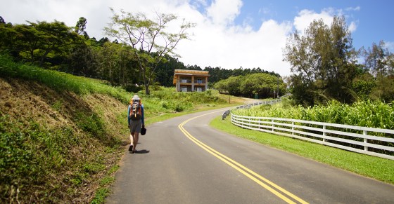 road to waipio lookout