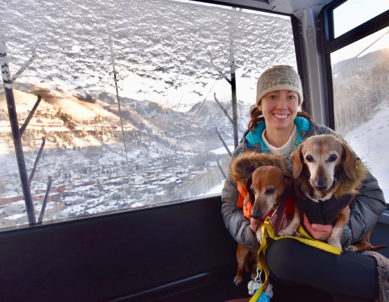 telluride gondola