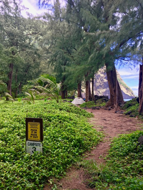 waimanu campsite 3