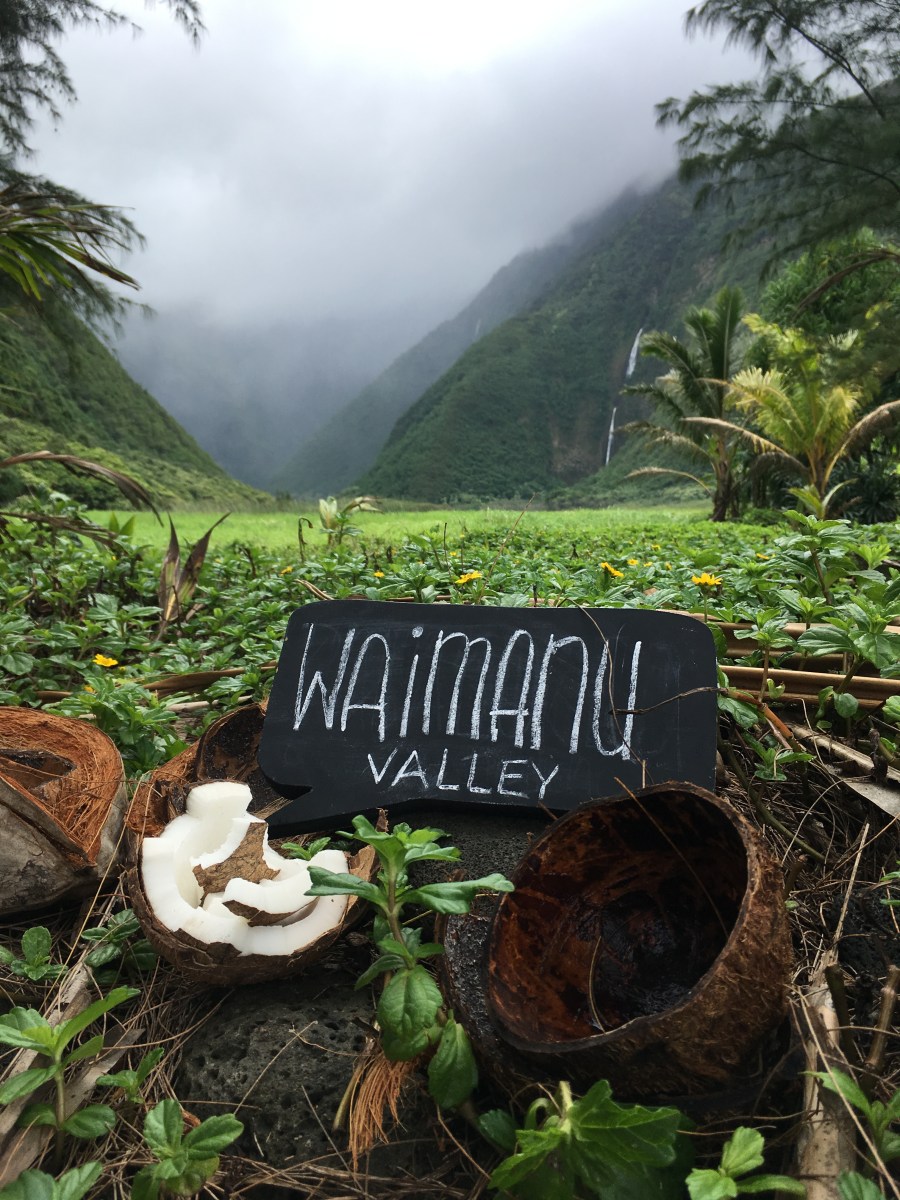 Waimanu Valley Backpacking - Coconut - Muliwai Trail - Waipio Valley
