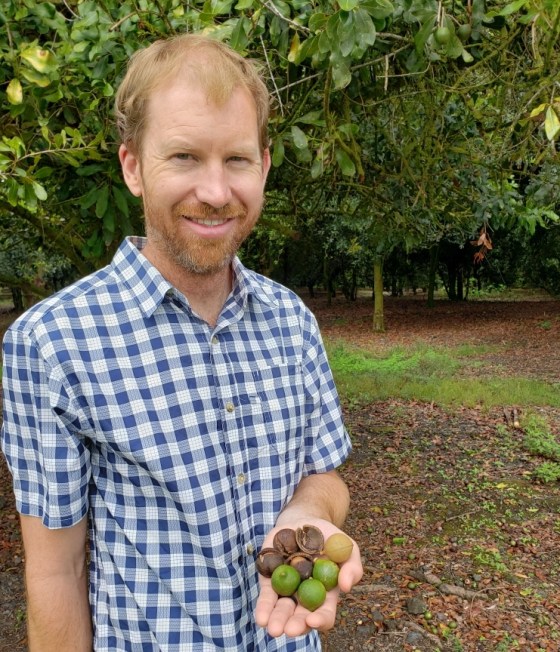 macadamia nuts hawaii