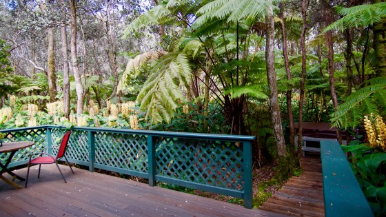 volcano hidden cottage backyard hot tube