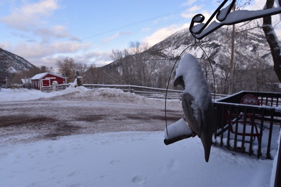 avalanche ranch cabin 12 bird