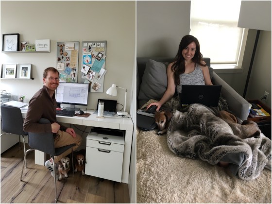 Work-From-Home in the Clark Household