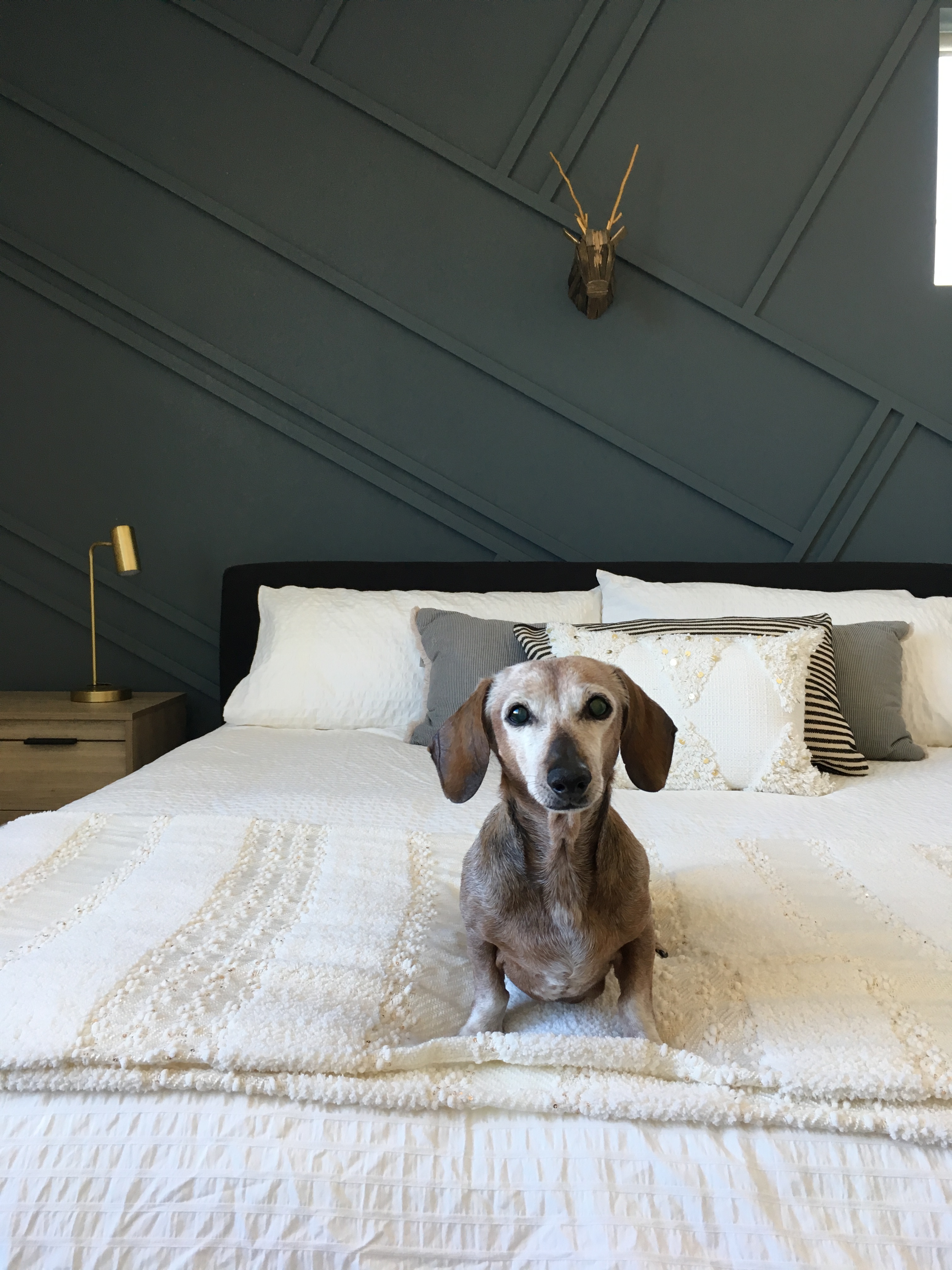 DIY board and batten wall